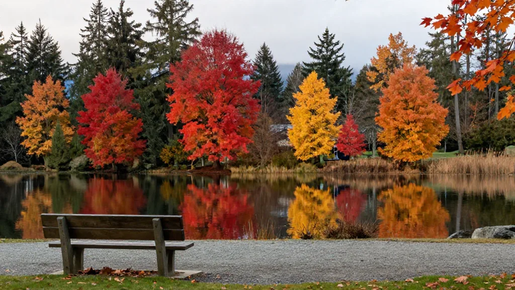 Deer Lake in Burnaby on an overcast autumn day, red and gold trees reflected in still water